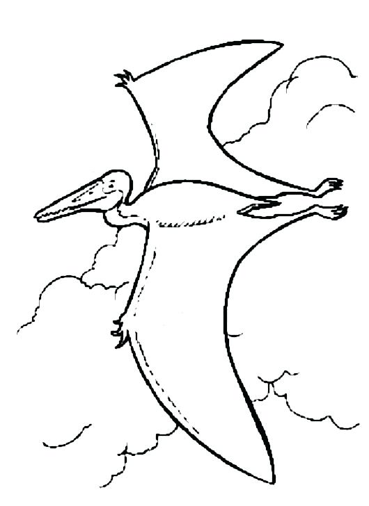 530x728 Coloriage Coyote