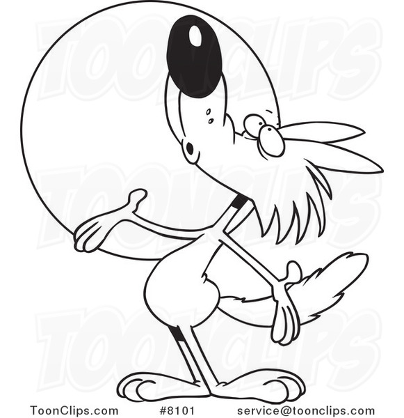 581x600 Cartoon Black And White Line Drawing Of A Coyote Howling