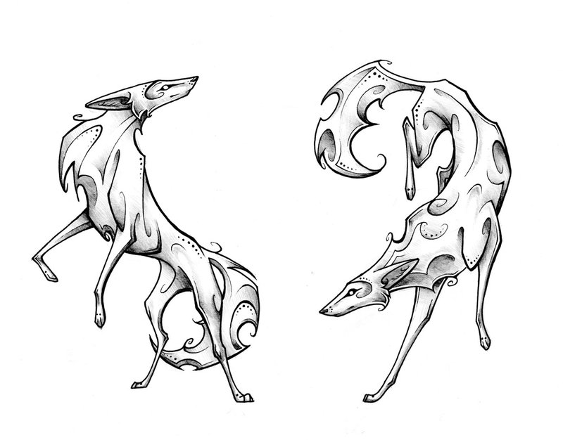800x626 Coyote Pair By On @