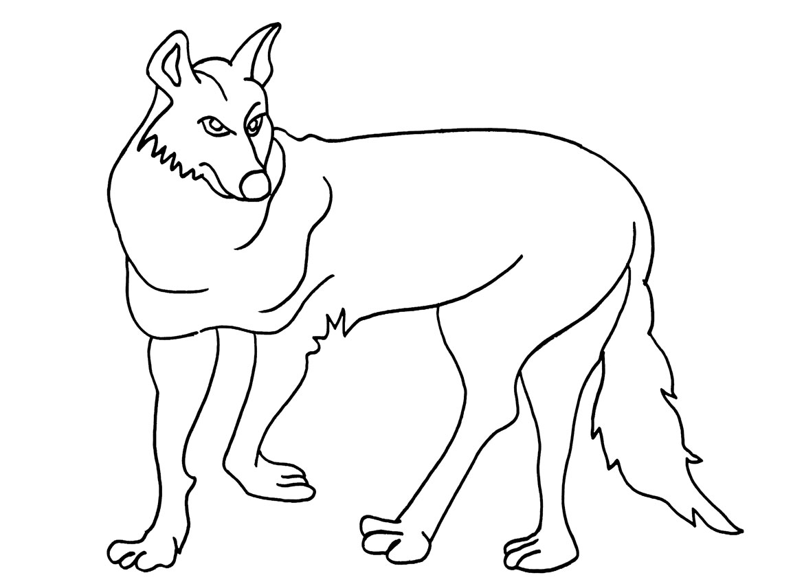 1170x850 Printable Coyote Coloring Pages For Kids Cool2bkids