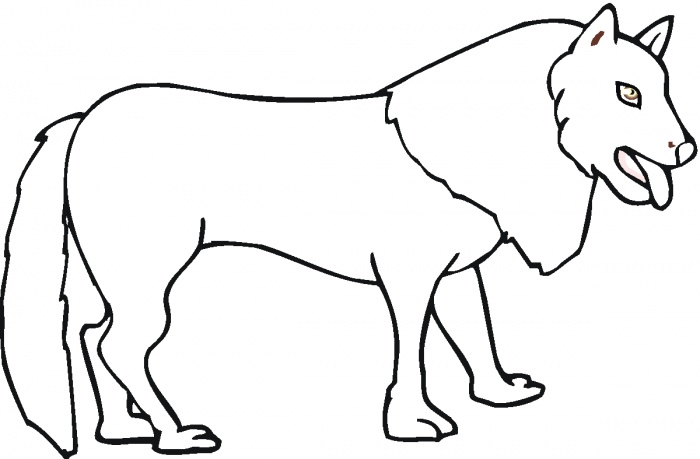 700x459 Terrific Coyote Coloring Page 51 About Remodel Coloring For Kids