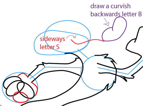 500x371 How To Draw Wile E. Coyote From Looney Tunes With Easy Step By