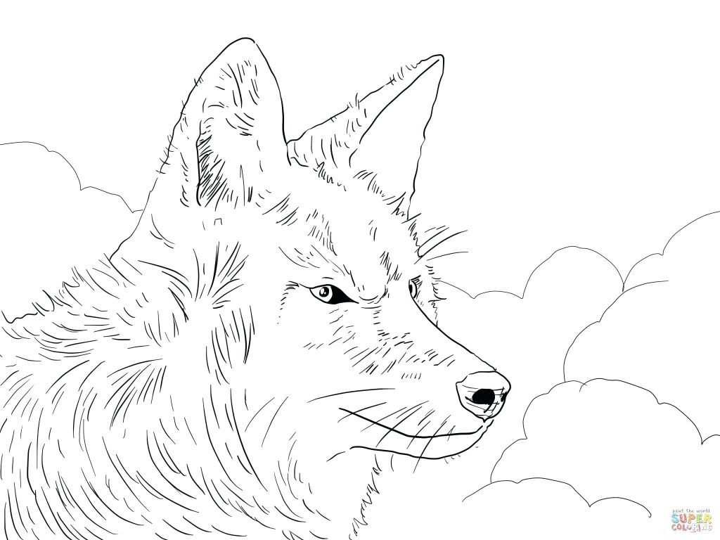 1024x768 Coloring Page ~ Peter And The Wolf Coloring Pages Coyote Head Page