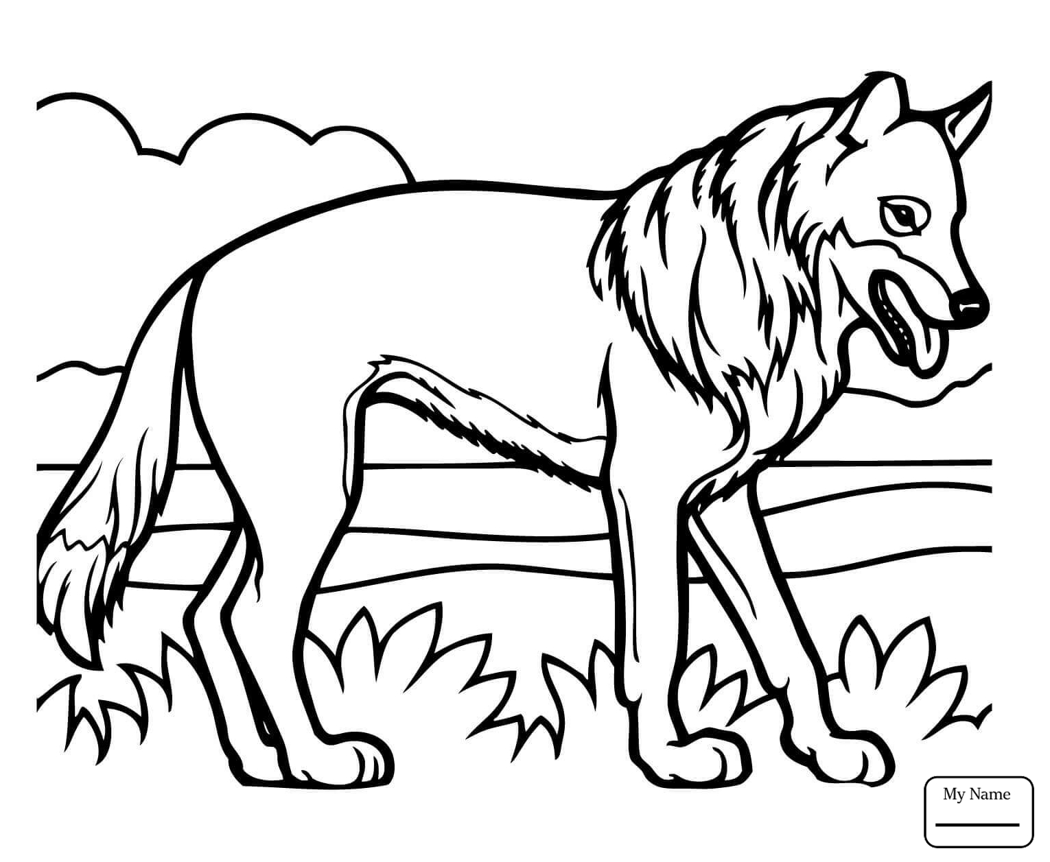 1530x1257 Coloring Pages Brush Wolf Or Coyote Coyote Mammals