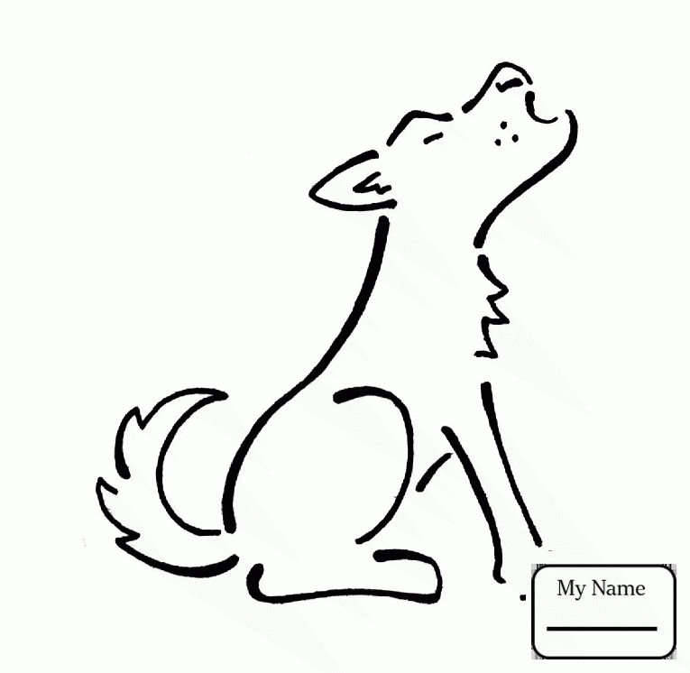 765x746 Coloring Pages Coyote Mammals Coyote