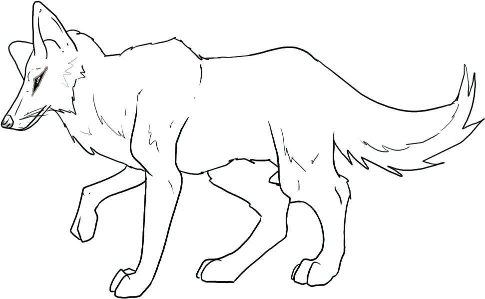 Coyote Head Drawing at GetDrawings | Free download