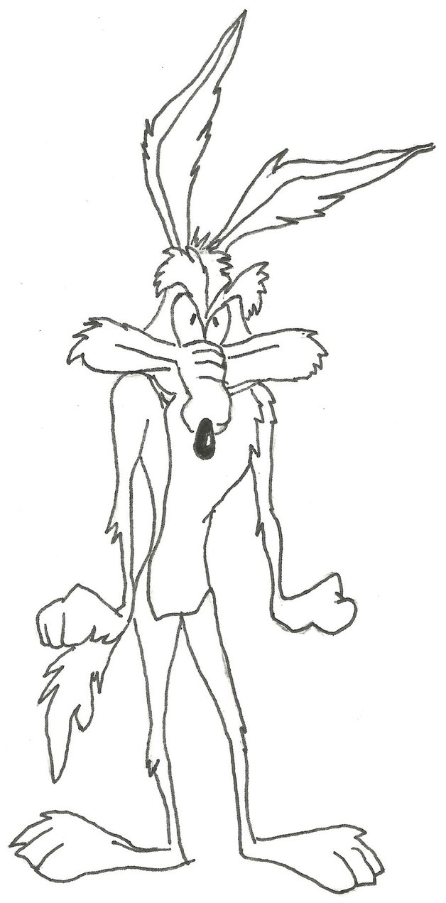 628x1271 Wile E Coyote Ii By Nduxy