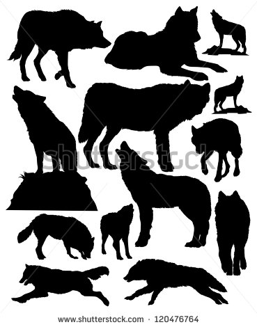 369x470 Coyote Stock Vectors Amp Vector Clip Art Shutterstock My