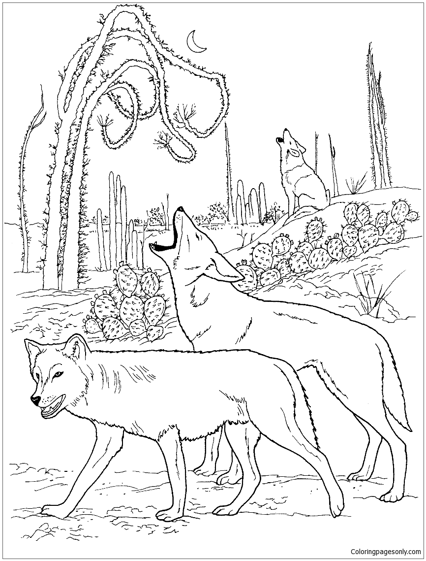 866x1139 Coyotes Howling In Desert Coloring Page