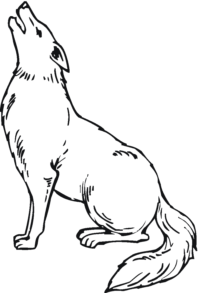 811x1200 Free Printable Coyote Coloring Pages For Kids