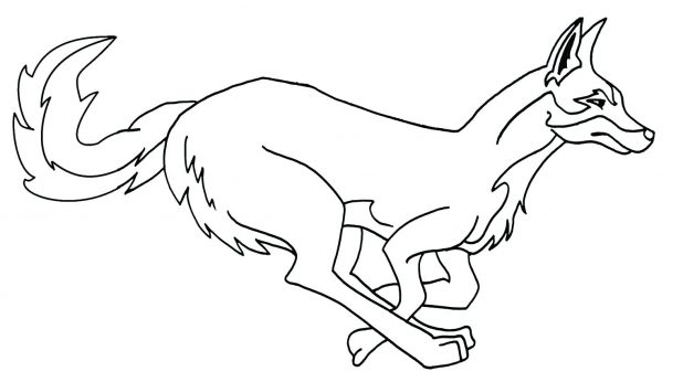 618x346 Wolf Coloring Pages For Kids Or Sign At The Looney Tunes Wile E
