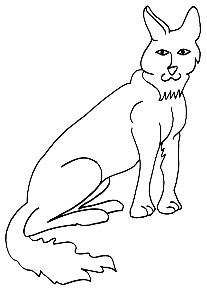 850x1190 Printable Coyote Coloring Pages For Kids Cool2bkids