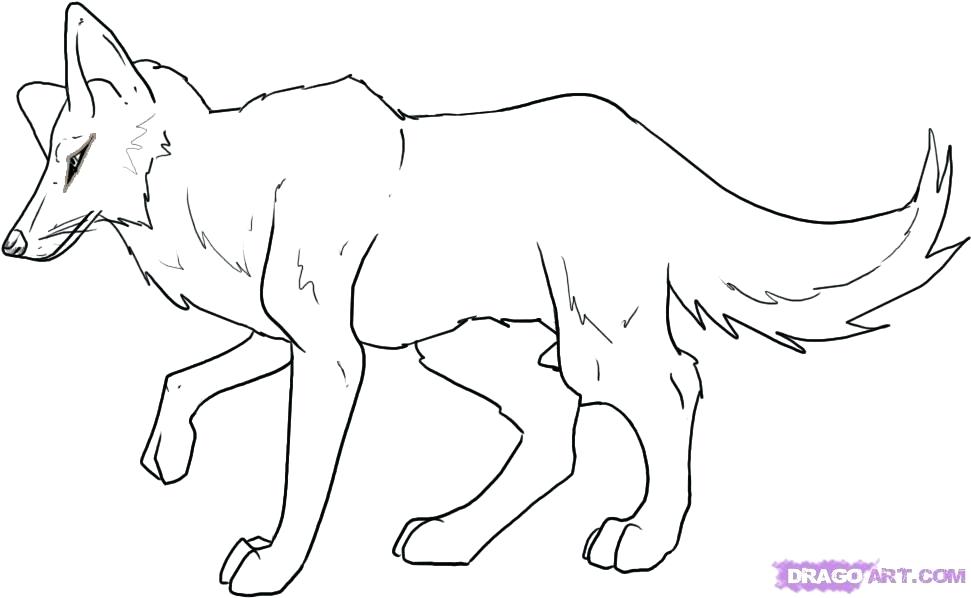 971x598 Coloriage Coyote