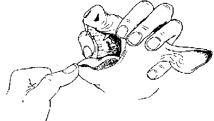 439x249 Mini Pig Cprheimlich Manuever