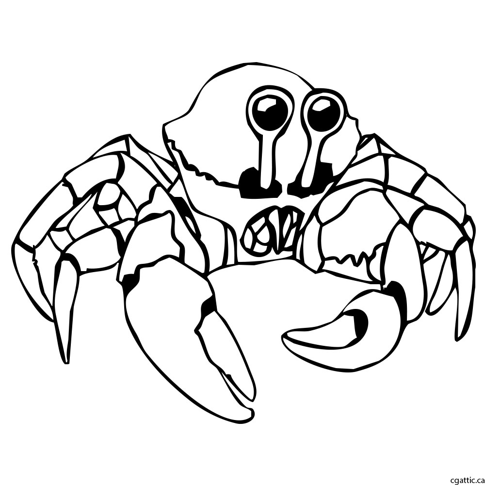 1000x1000 Crab Cartoon Drawing In 4 Steps With Photoshop