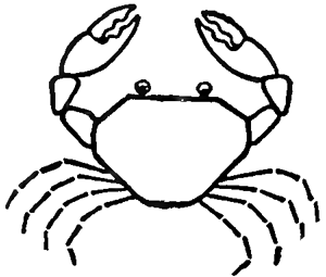 300x255 How To Draw Cartoon Crabs In Easy To Follow Steps