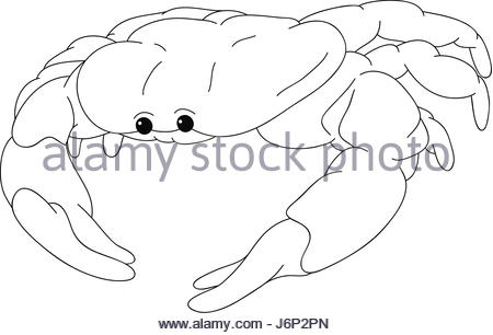 450x306 Isolated Illustration Outline Crab Cartoon Line Draw Food Aliment