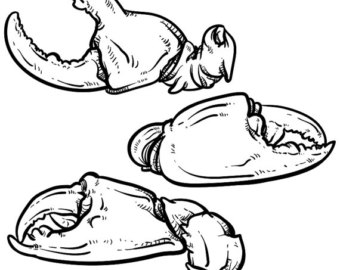 340x270 Crab Claw Clipart Etsy