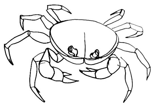 545x381 How To Draw A Crab