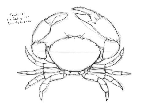 470x360 How To Draw A Crab Step By Step 4