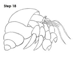236x182 Line Drawings Of Shells Hermit Crab Embroidery