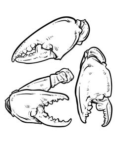 236x295 80% Off Sale Crab Pattern Including Seamless. Hand Drawn Crab