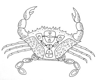 340x270 Hermit Crab Charcoal Drawing Original Artwork Pencil