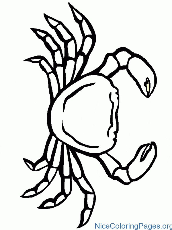600x800 How To Draw Crab And Coloring Sheets For Kids