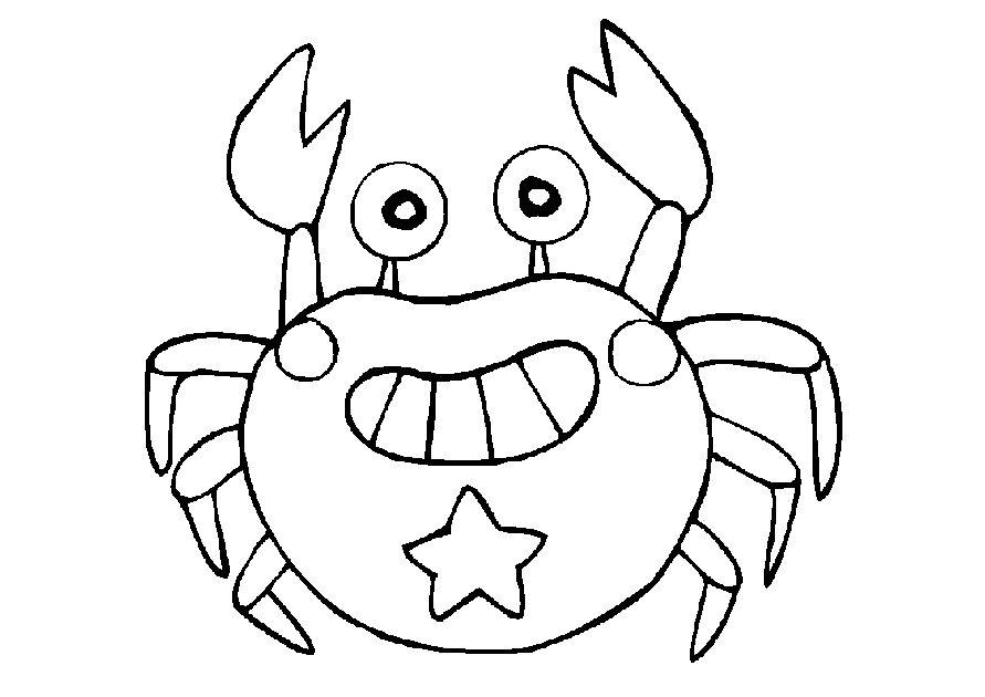 891x630 Crab Pictures For Kids 506991