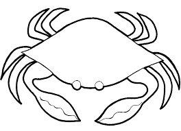 264x191 Image Result For Cute Hermit Crab Artwork By Children Crabs