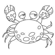 220x220 Crab Coloring Pages, Drawing For Kids, Kids Crafts