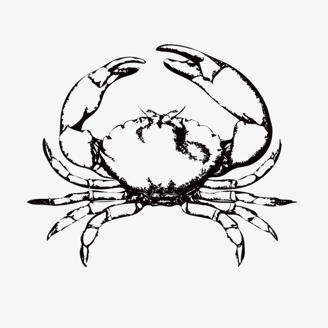 650x650 Hand Painted Crab, Sketch, Vector, Animal Png And Vector For Free