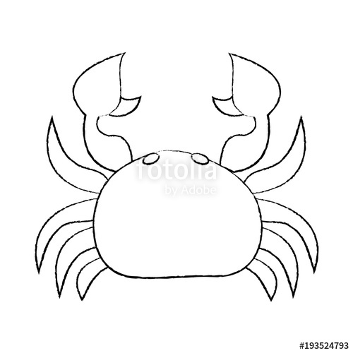500x500 Sea Wild Life Crab Marine Animal Image Vector Illustration Sketch