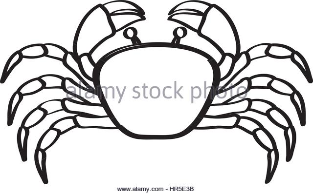 640x398 Crab Line Stock Photos Amp Crab Line Stock Images