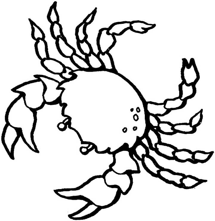 720x740 Inspiring Crab Coloring Pages 99 About Remodel Line Drawings