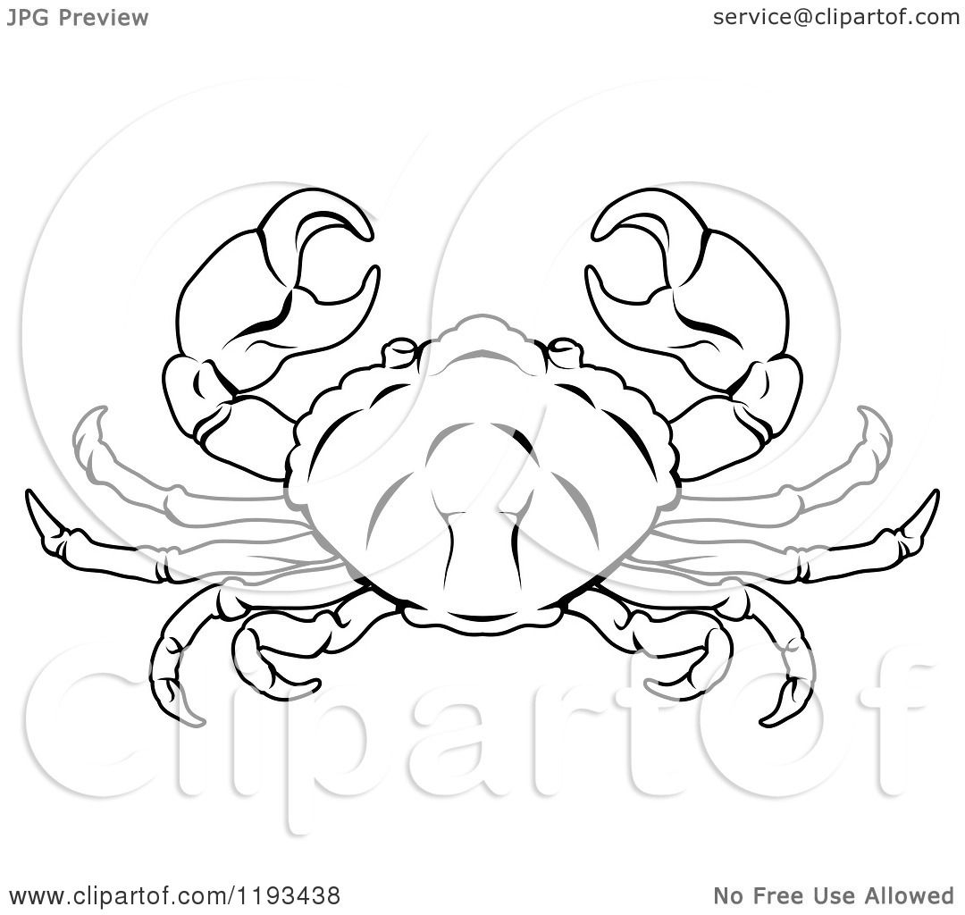 1080x1024 Clipart Of A Black And White Line Drawing Of The Cancer Crab