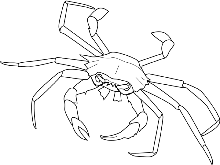 720x540 Coloring Crab Picture