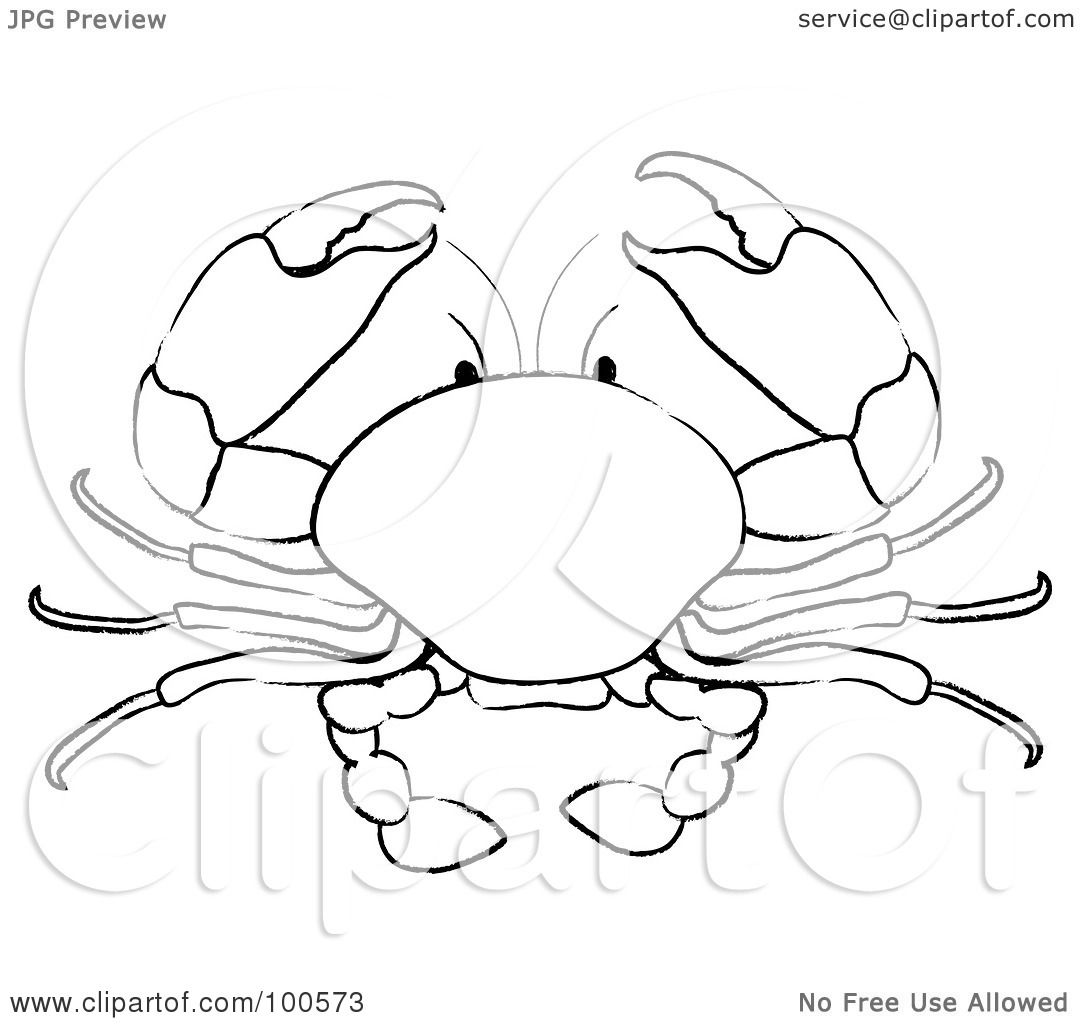 1080x1024 Royalty Free (Rf) Clipart Illustration Of A Coloring Page Outline