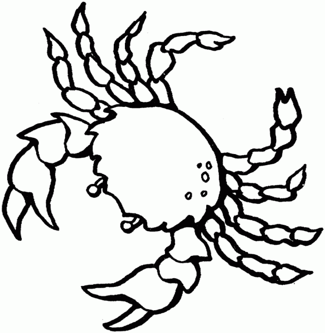 640x657 Crab