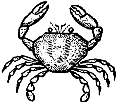 400x346 How To Draw Cartoon Crabs In Easy To Follow Steps