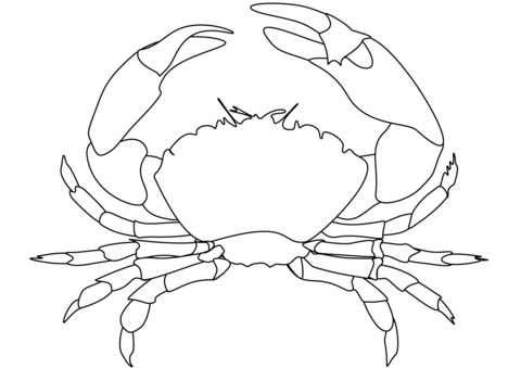 480x339 Crab Coloring Page Free Printable Coloring Pages