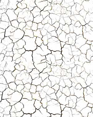 300x376 This Tutorial We Will Show You How Make A Cracked Egg