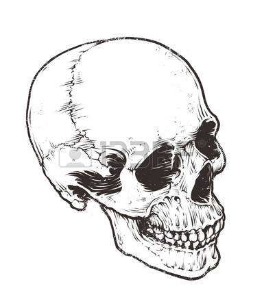385x450 Cracked Skull Stock Photos. Royalty Free Business Images