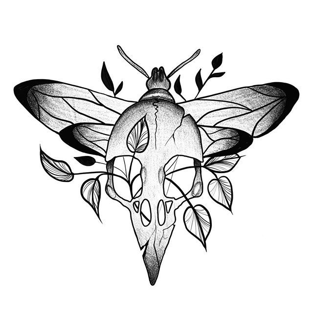 640x640 Cracked Skull.