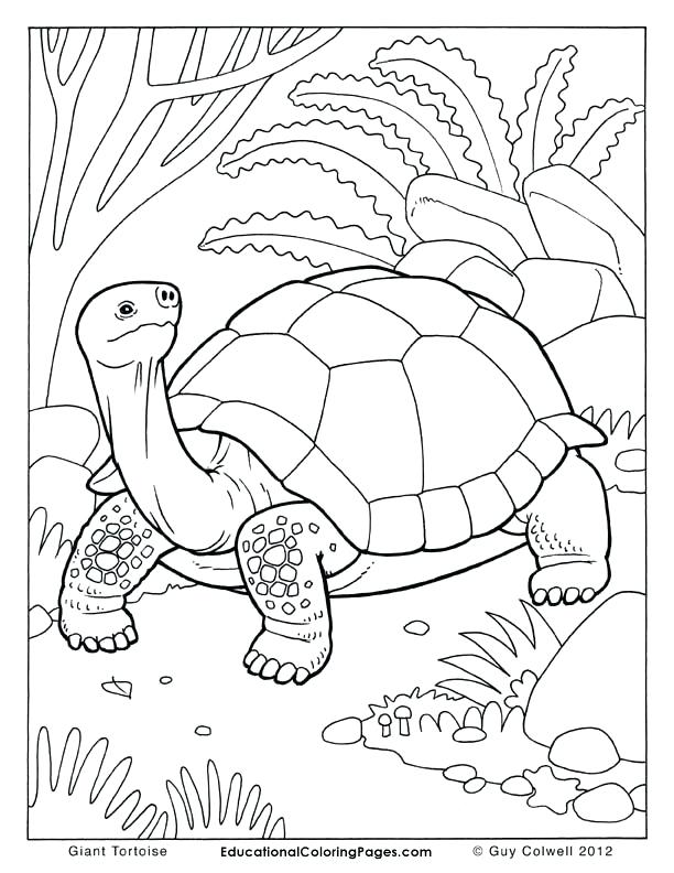 612x792 Color Drawing Book Dog Coloring Pages For Kids Preschool Crafts