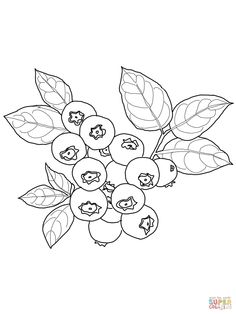 236x314 Cranberry Coloring Sheet Coloring Page Cranberry Juice