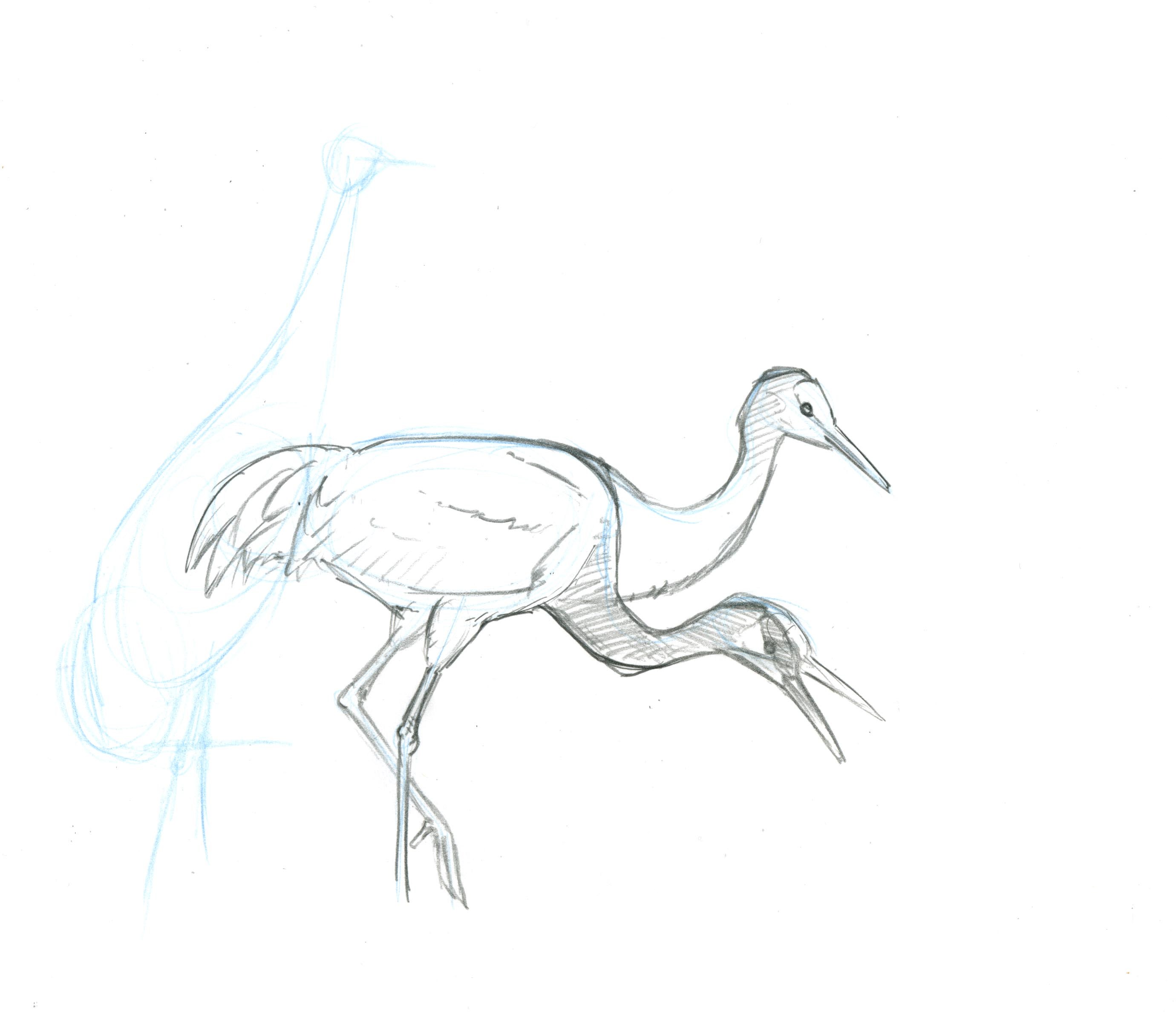 2760x2383 How To Paint A Sandhill Crane Landscape, Step By Step