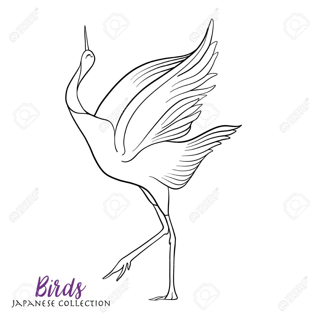 1300x1300 Japanese Crane. Coloring Book For Adult. Outline Drawing Coloring
