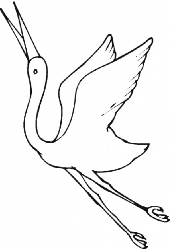 600x875 Beautiful Crane Bird Coloring Pages For Kids Animal Vista Yooall