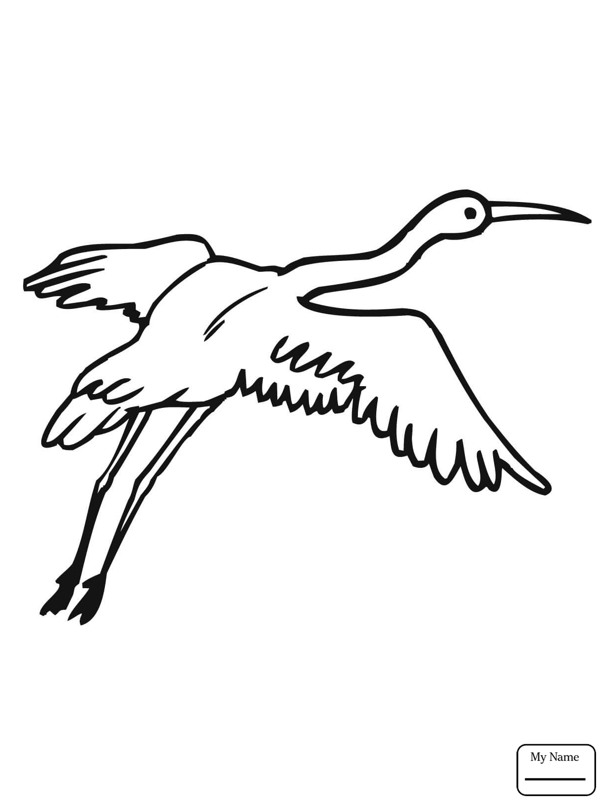 Crane Bird Drawing at GetDrawings | Free download